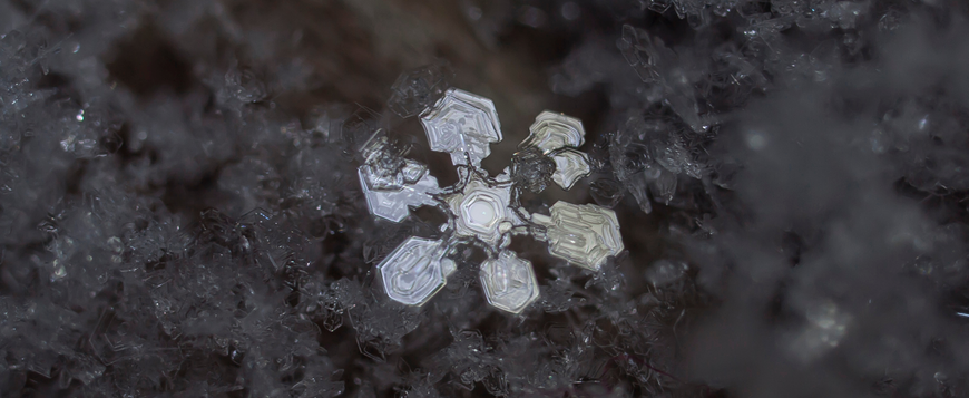 Photo: Snowflake.