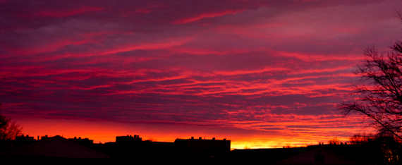 Photo: Sunset over Cook Campus.